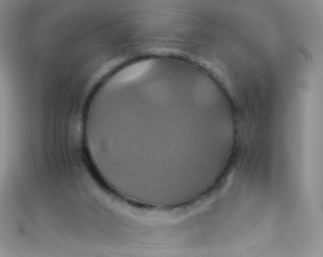 X0000110990016200907022125