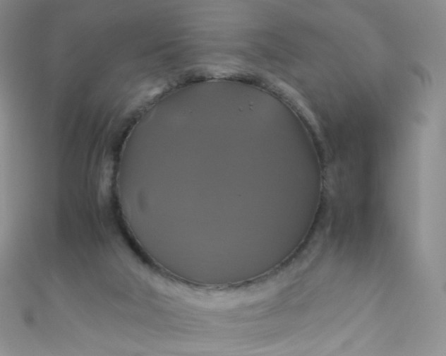 X0000110990018200907022125