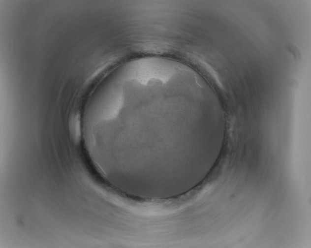 X0000110990020200907022125
