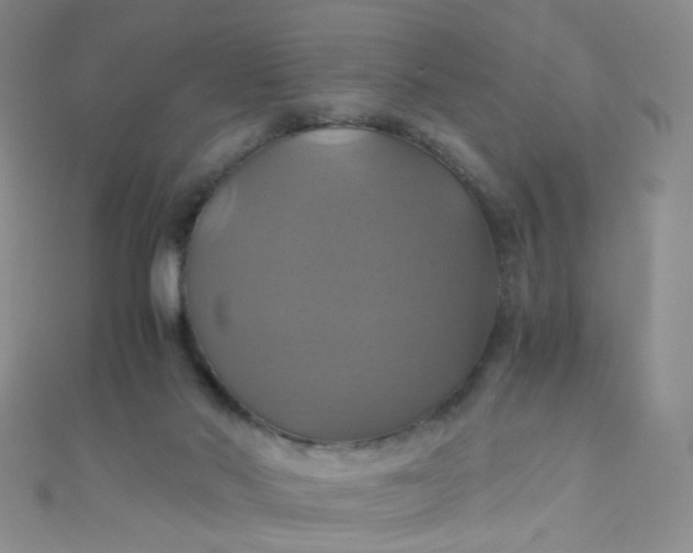 X0000110990022200907022125
