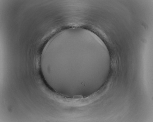 X0000110990023200907022125