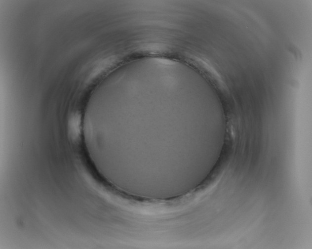 X0000110990024200907022125