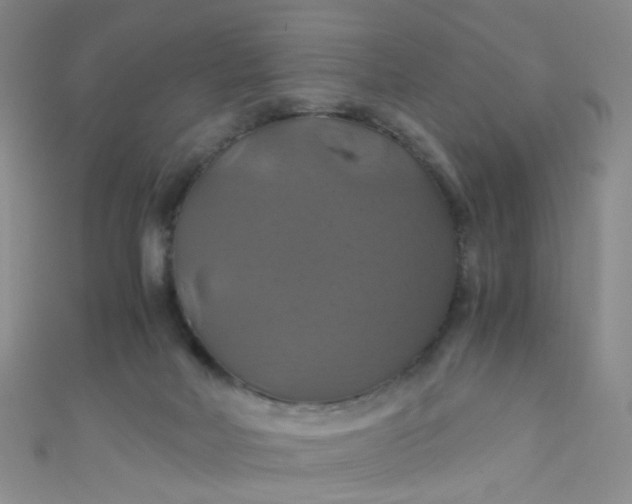 X0000110990026200907022125