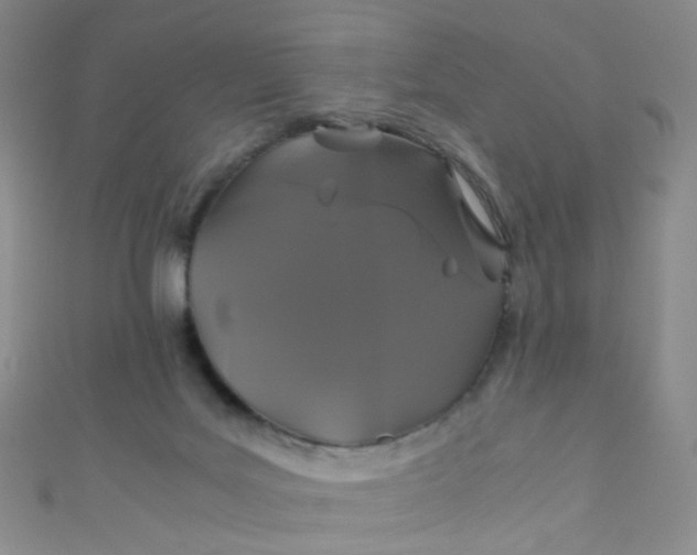 X0000110990027200907022125