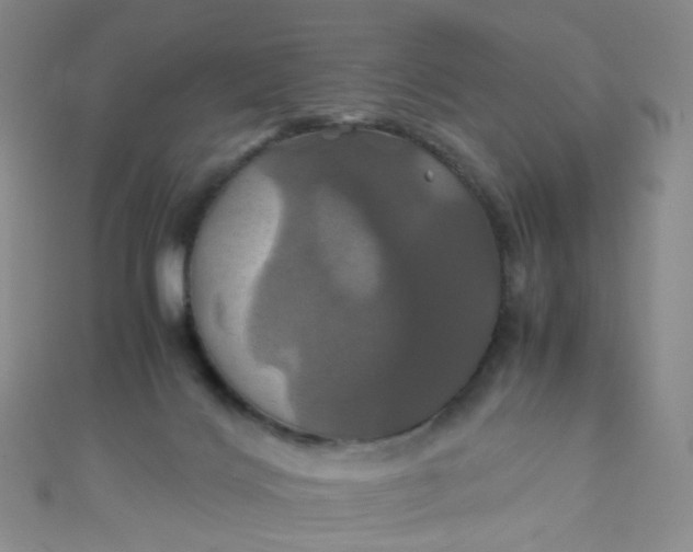 X0000110990028200907022125