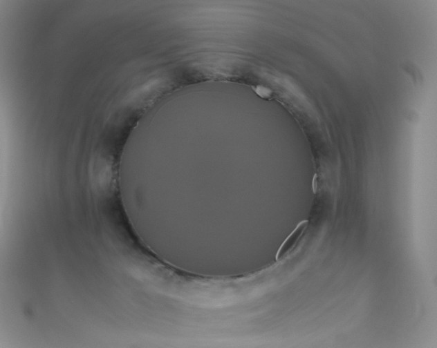 X0000110990029200907022125