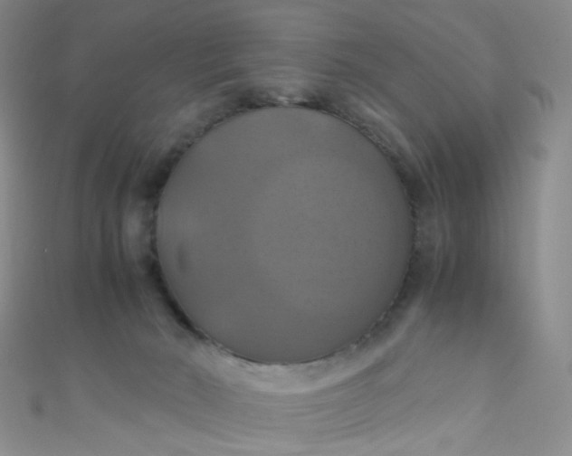 X0000110990030200907022125
