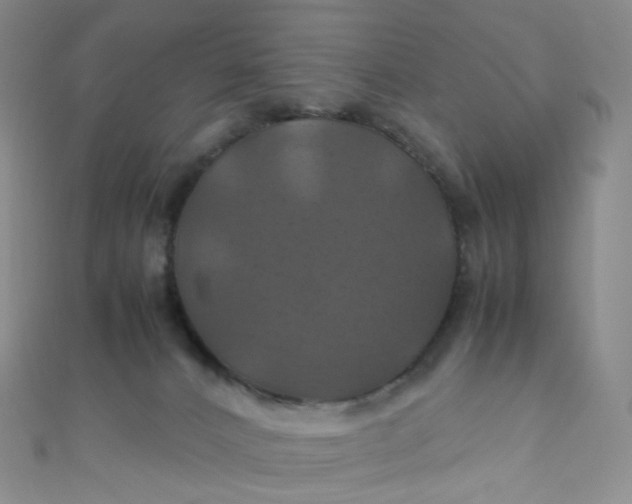 X0000110990032200907022125