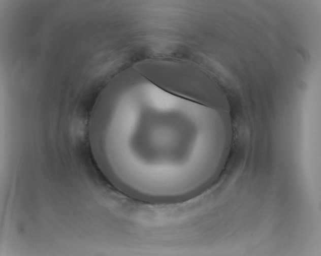 X0000110990033200907022125