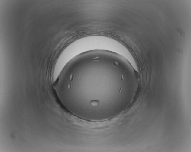 X0000110990035200907022125