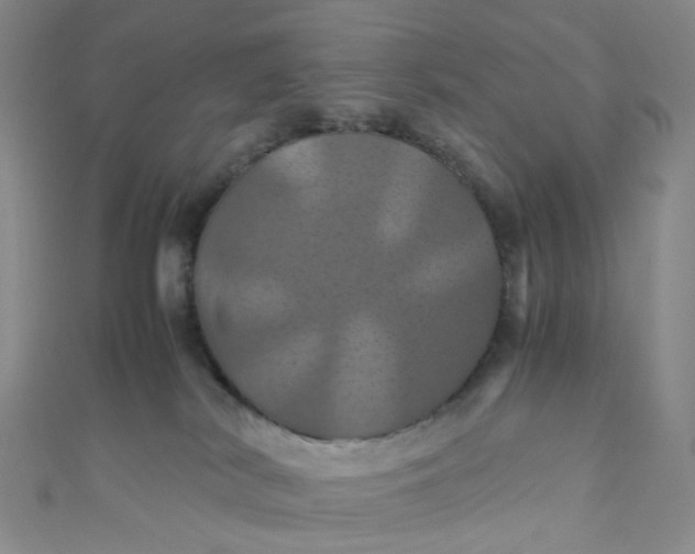 X0000110990038200907022125