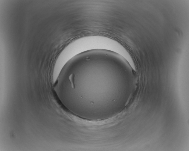 X0000110990039200907022125