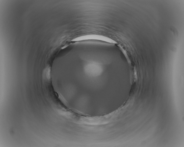 X0000110990041200907022125