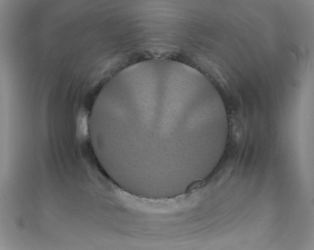 X0000110990042200907022125