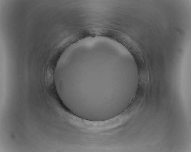 X0000110990043200907022125