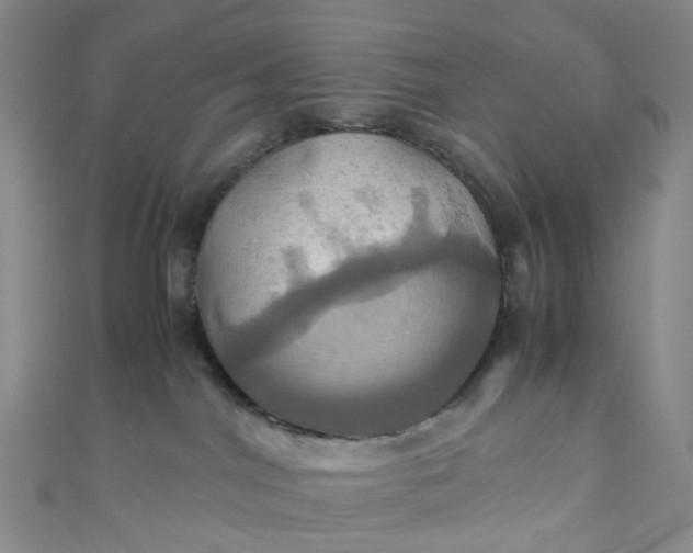 X0000110990044200907022125