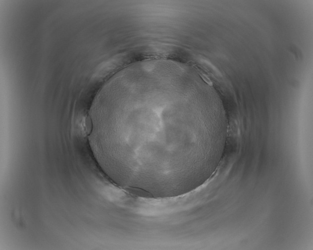 X0000110990045200907022125