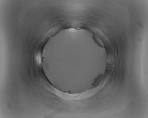X0000110990046200907022125