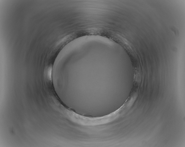 X0000110990047200907022125
