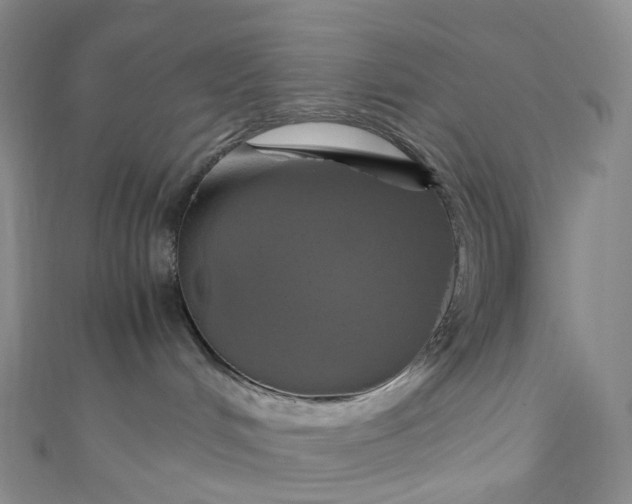 X0000110990048200907022125