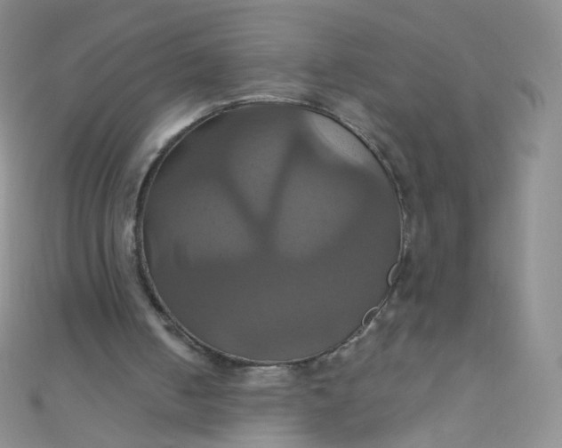X0000110990050200907022124