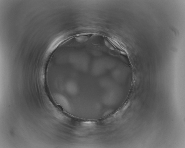 X0000110990053200907022124