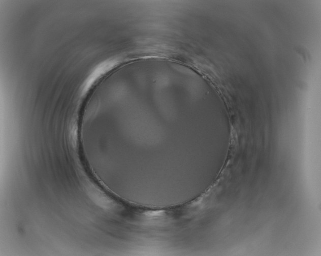 X0000110990054200907022124