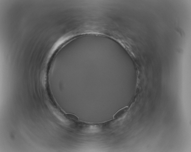 X0000110990056200907022124