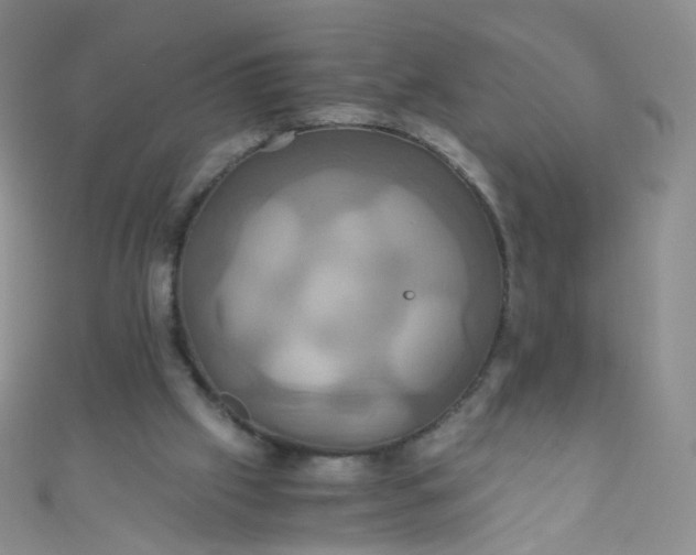 X0000110990057200907022124