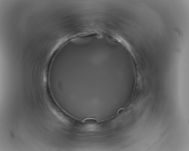 X0000110990059200907022124