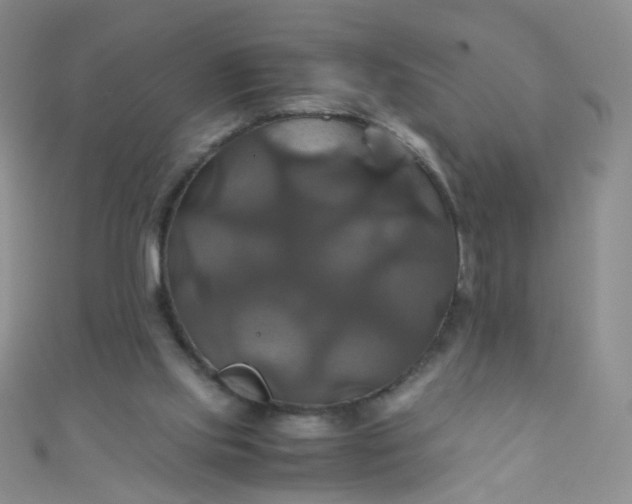 X0000110990061200907022124