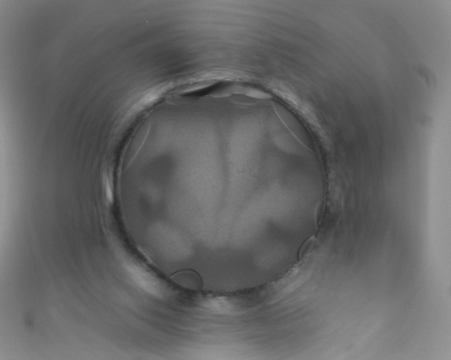 X0000110990062200907022124