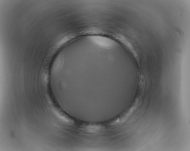 X0000110990063200907022124