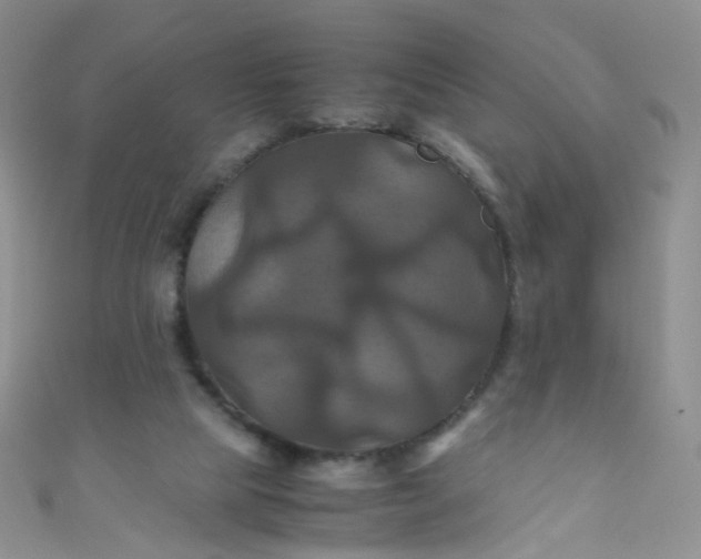 X0000110990065200907022124
