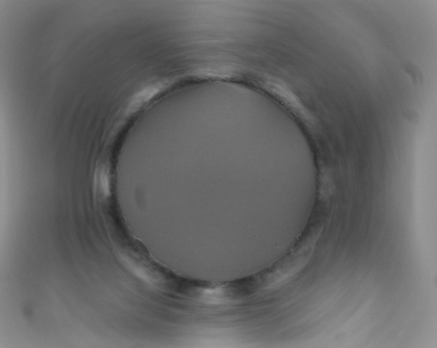X0000110990068200907022125