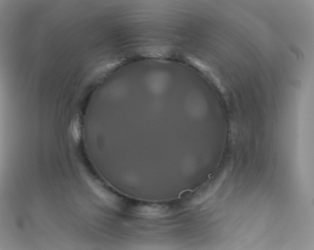 X0000110990069200907022125