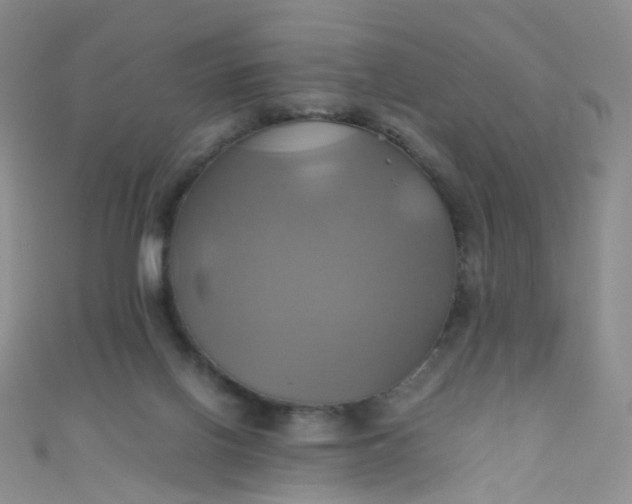 X0000110990070200907022125