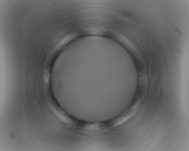 X0000110990072200907022125
