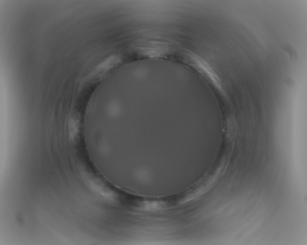 X0000110990073200907022125