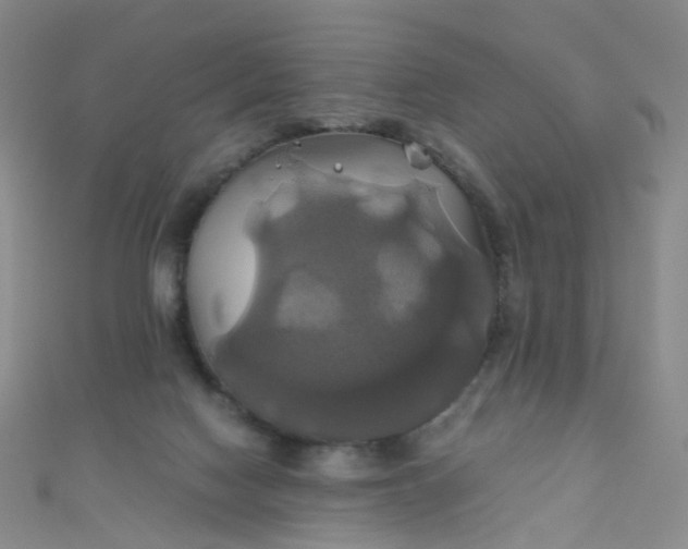 X0000110990074200907022125