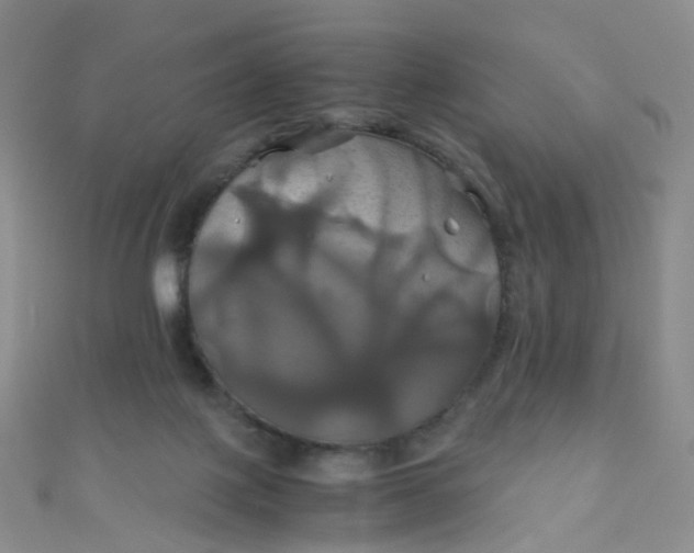 X0000110990075200907022125