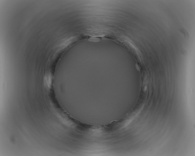 X0000110990076200907022125