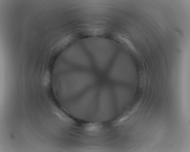 X0000110990077200907022125