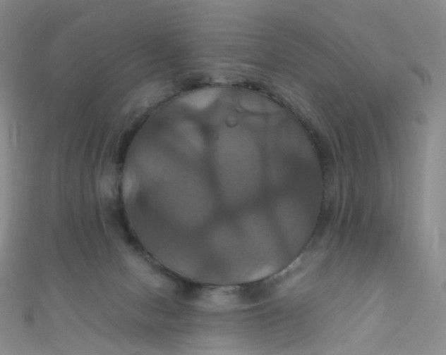 X0000110990078200907022125