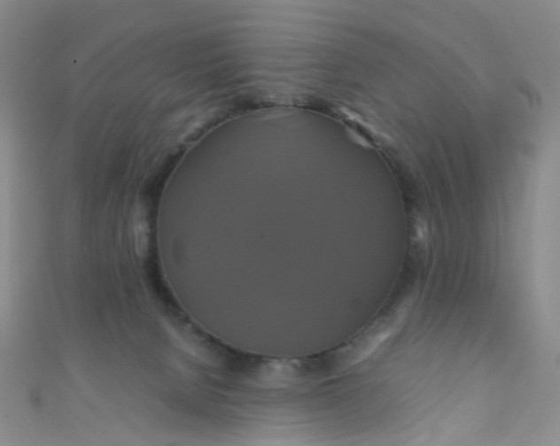 X0000110990080200907022125