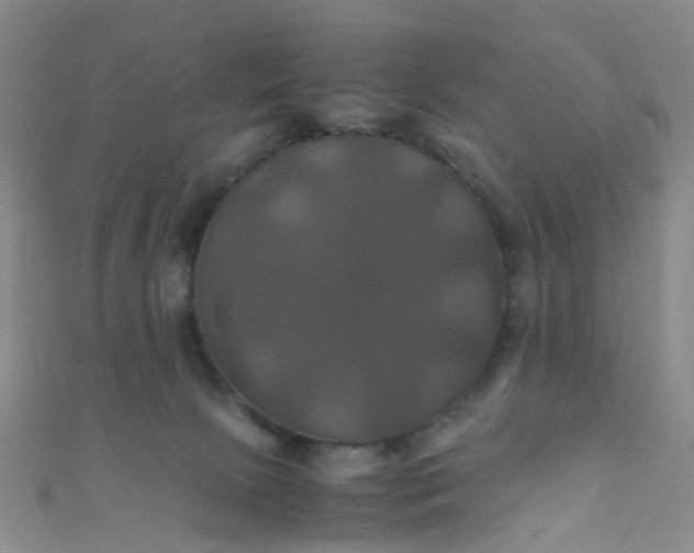 X0000110990081200907022125