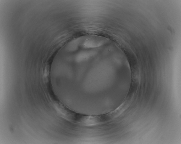 X0000110990082200907022125
