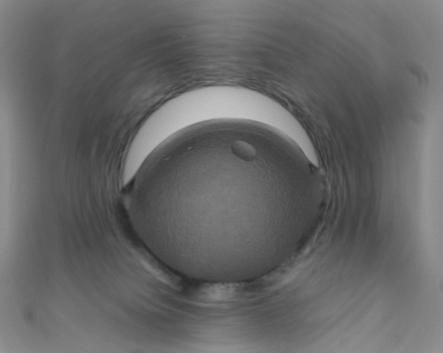 X0000110990084200907022125