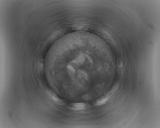 X0000110990085200907022125