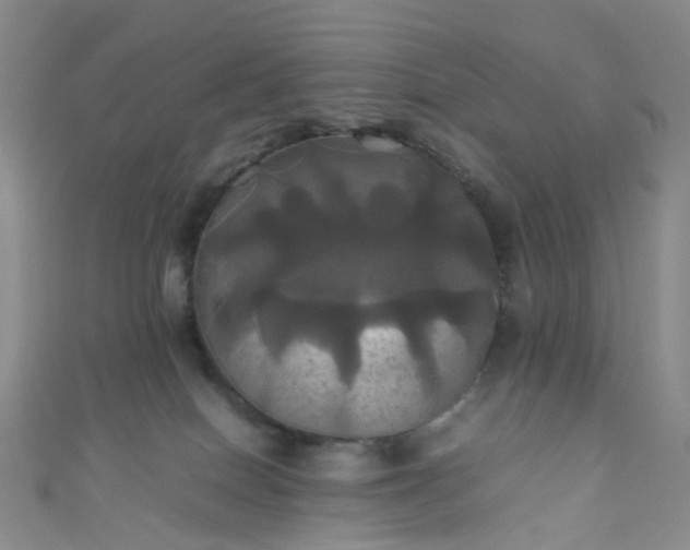 X0000110990086200907022125